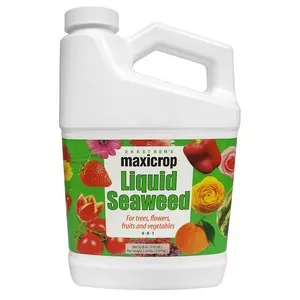 MaxiCrop Liquid Seaweed